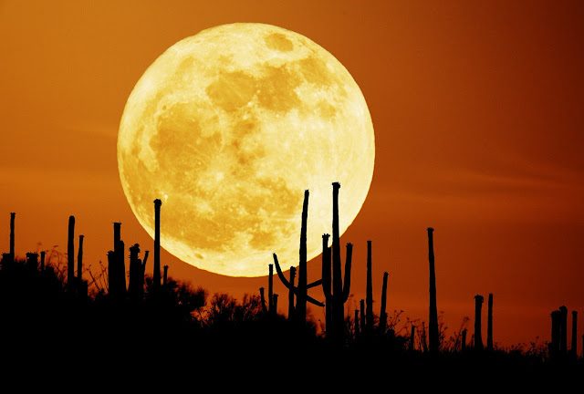 harvest-moon-1057834