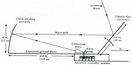 dish1-4022800