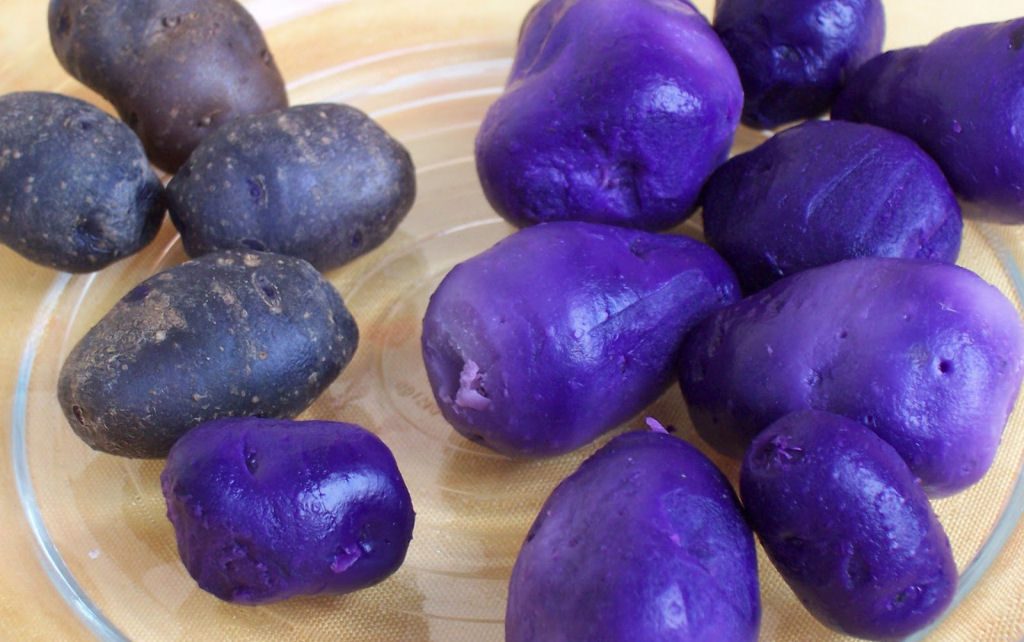 alimentos_cor_azul_01-3094814