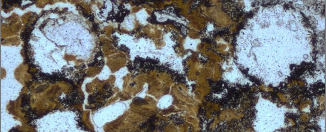 bubbles-ancient_1024-1461698