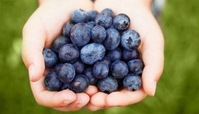 handful-of-blueberries-1502-498x286-6859102