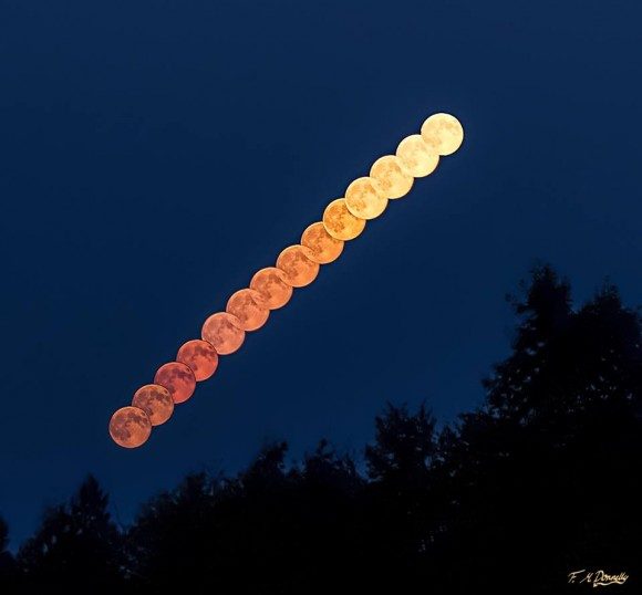 supermoon-8-10-2014-fiona-m-donnelly-ontario-e1407790122708-4955021