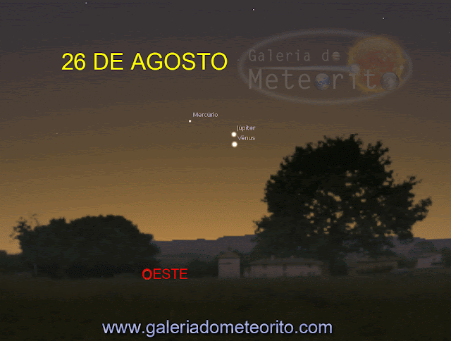 anima25c325a725c325a3o-conjun25c325a725c325a3o-v25c325aanus-4127365
