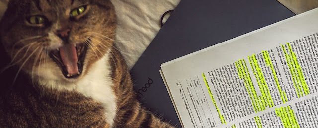 cat-physics-paper_1024-2775833