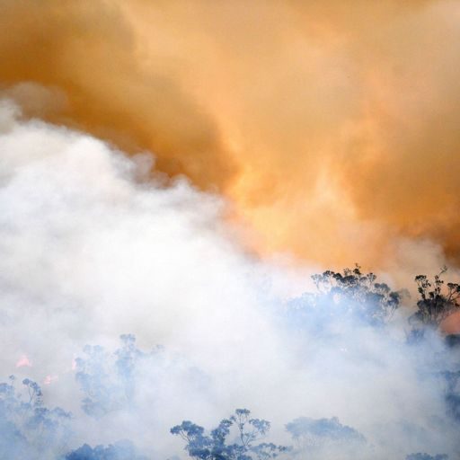skynews-australia-fires_4881148-4869223