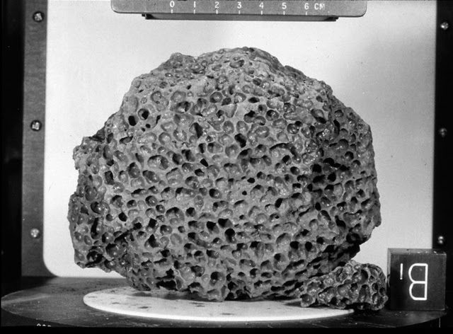 rocharlunarprova-3403299