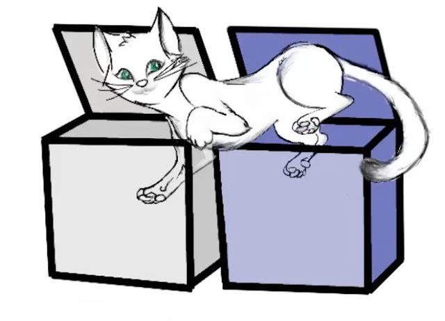 schrodinger-cat-two-boxes-8222615