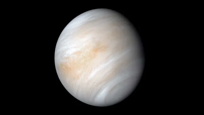 venus