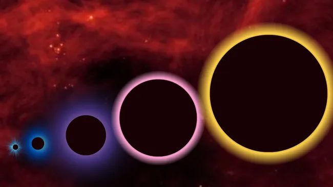 Primordial Black Holes May Be the Missing Link Behind Early Supermassive Black Holes
