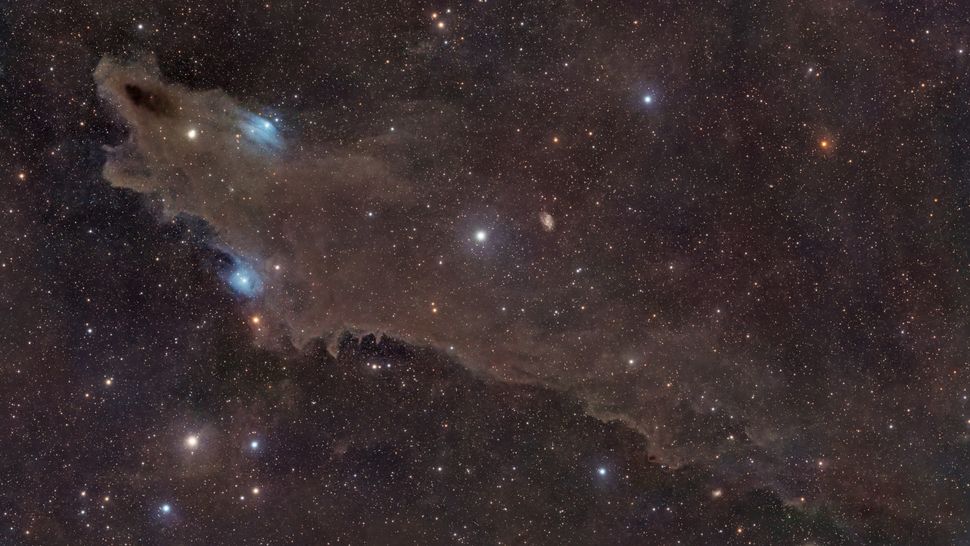 Astrophotographer Captures Cosmic Shark in Stunning Deep Space Image