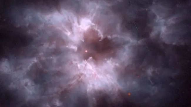 Earth-Size Stars and Alien Oceans: Can Life Survive Around White Dwarfs?