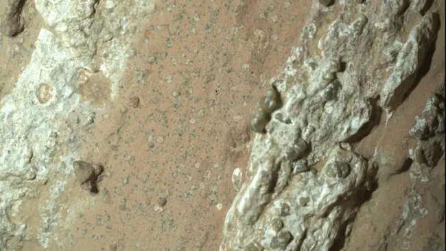 Did NASA’s Perseverance Rover Find Evidence of Life on Mars? Sample Return Needed