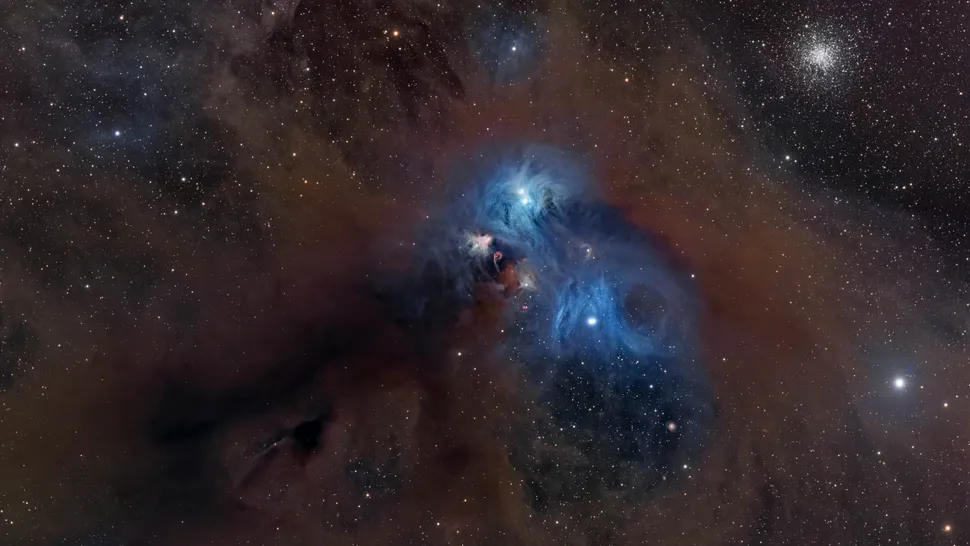 the-raging-baboon-nebula