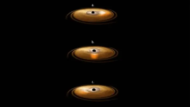 accretion-disc-surrounding-a-black-hole