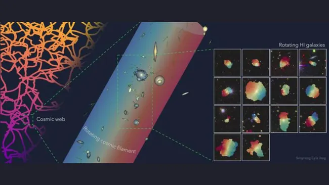 illustration-of-cosmic-web-and-zoom-in